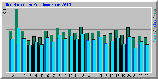 Hourly usage for December 2015