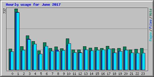 Hourly usage for June 2017